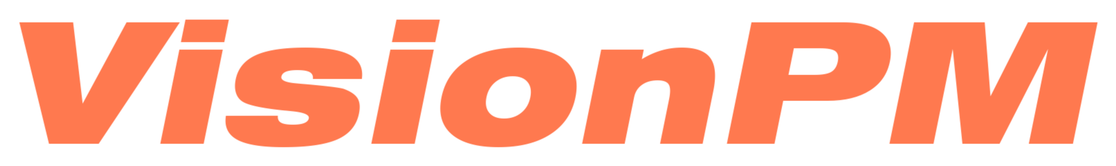 Logo VISIONPM
